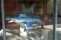 Hammerhead Shark.