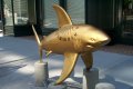 Sundial Shark.