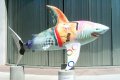 Le Requin Agile.