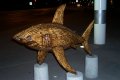 Bamboo Shark.