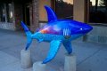 Shark World.
