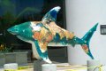 Culture Shark.