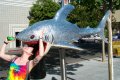 Shred-Head Shark.