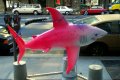 Mack the Shark.