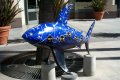 Twinkle Twinkle Little Shark.