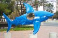 Holy Shark.